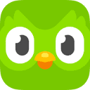 دوولينجو ماكس (Duolingo Max) logo